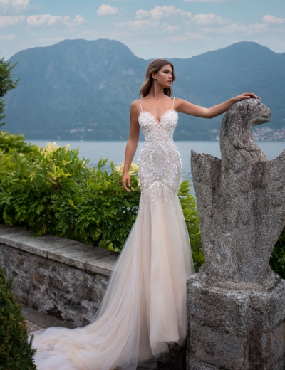 Lavinya wedding dress